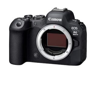 Canon EOS R6 Mark II 24.2 MP Mirrorless Camera-Body Only (Black)