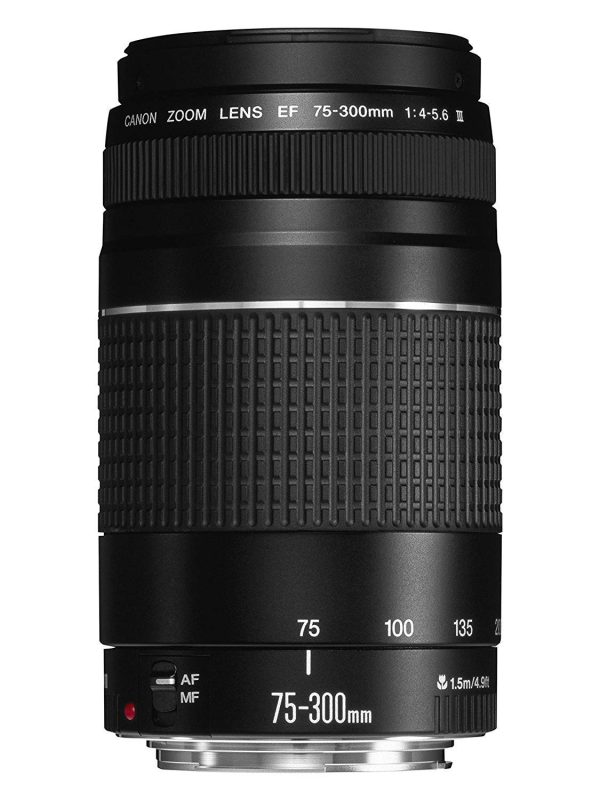 Canon EF 75-300 mm f/4-5.6 III Telephoto Zoom Lens for Canon SLR Cameras (Black) - Image 2