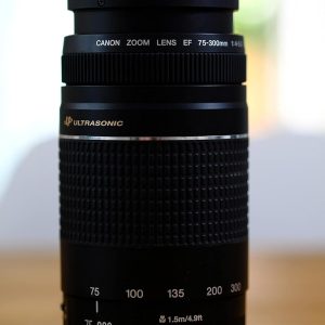 Canon EF 75-300 mm f/4-5.6 III Telephoto Zoom Lens for Canon SLR Cameras (Black)
