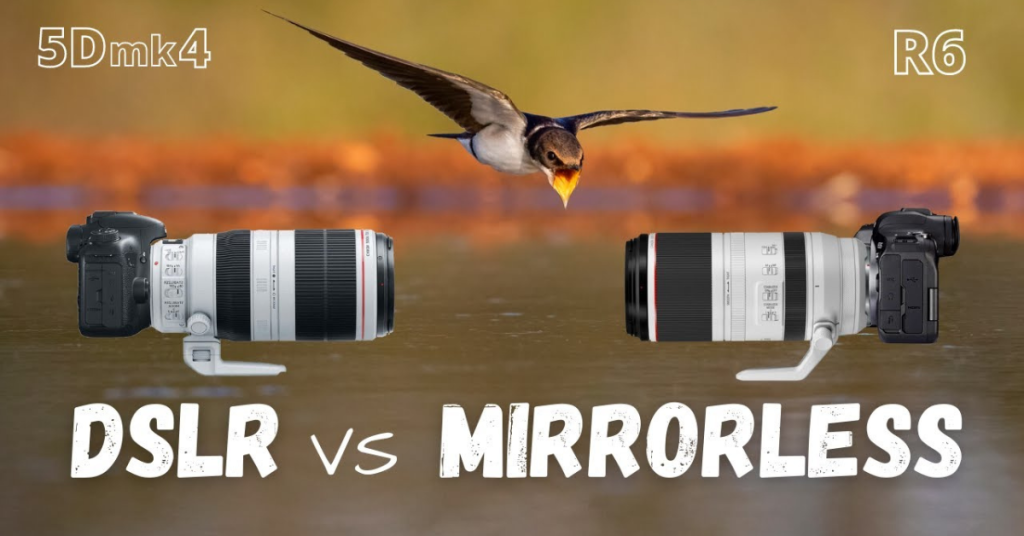 DSLR vs. Mirrorless pros & cons for wildlife photography.